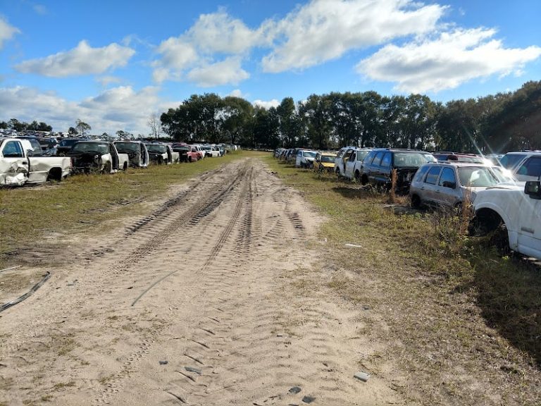 American Auto Truck Salvage at 2363 US 441 Fruitland Park FL 34731 4 768x576
