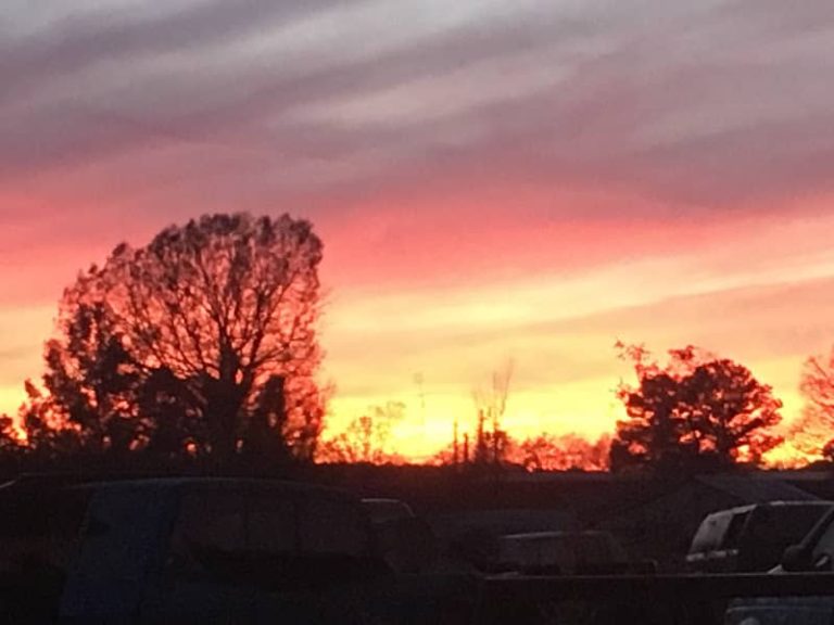 Baileyaposs Auto Salvage Used Cars at 5830 Lagrange Rd Leighton AL 35646 1 2 768x576