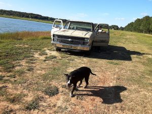 Blastgoaposs Scrap Removal at 285 Warren Rd Lonoke AR 72086 1 300x225