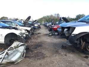 Budget U Pull it at 881 9th St Winter Garden FL 34787 2 1 300x225