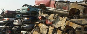 Buy Rite Auto Salvage at 3549 Old Dixie Hwy Auburndale FL 33823 2 1 300x119