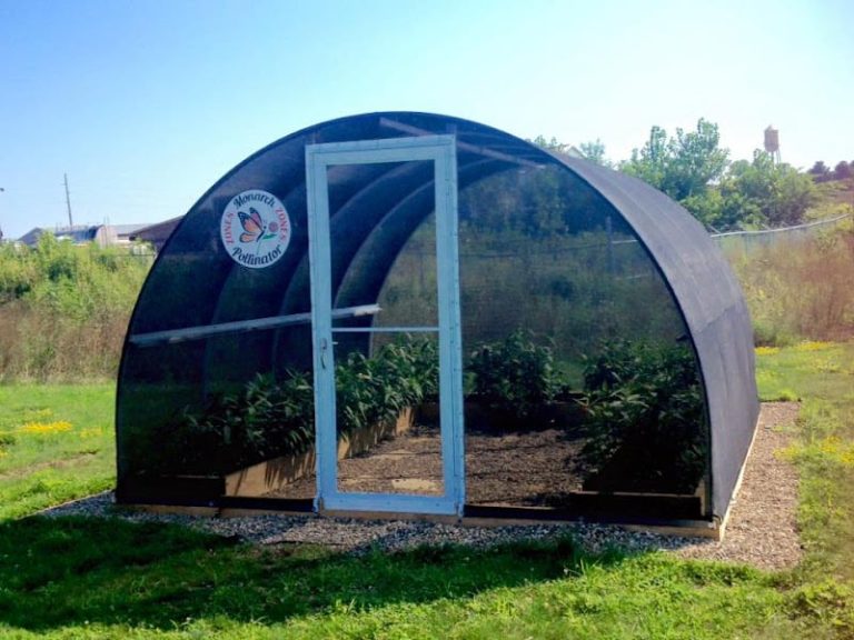 Cedar RapidsLinn County Solid Waste Agency at 1954 County Home Rd Marion IA 52302 2 768x576