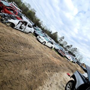 Dukes Auto Salvage at 2535 Mike Padgett Hwy Augusta GA 30906 2 300x300