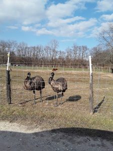 Fenton Auto Salvage at 6650 Treasure Dr House Springs MO 63051 1 2 225x300
