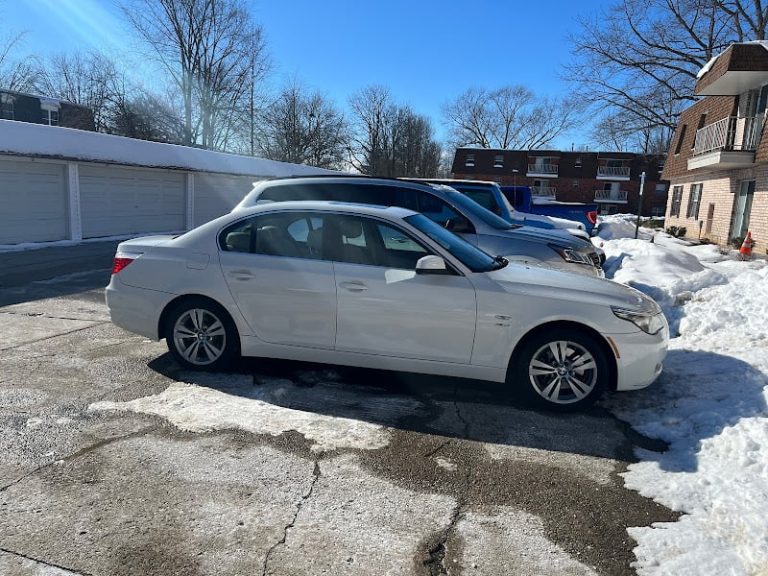 Go Green Auto at 1341 W 29th St Indianapolis IN 46208 1 2 768x576