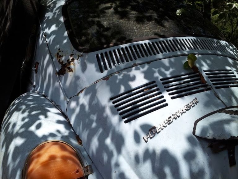 Hart Auto Salvage at 17832 Co Rd 2082 Hawthorne FL 32640 1 2 768x576