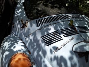 Hart Auto Salvage at 17832 Co Rd 2082 Hawthorne FL 32640 2 1 300x225