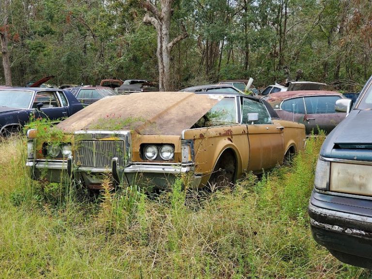 Heilmeieraposs Auto Salvage at 402 Hickory St S Foley AL 36535 1 768x576