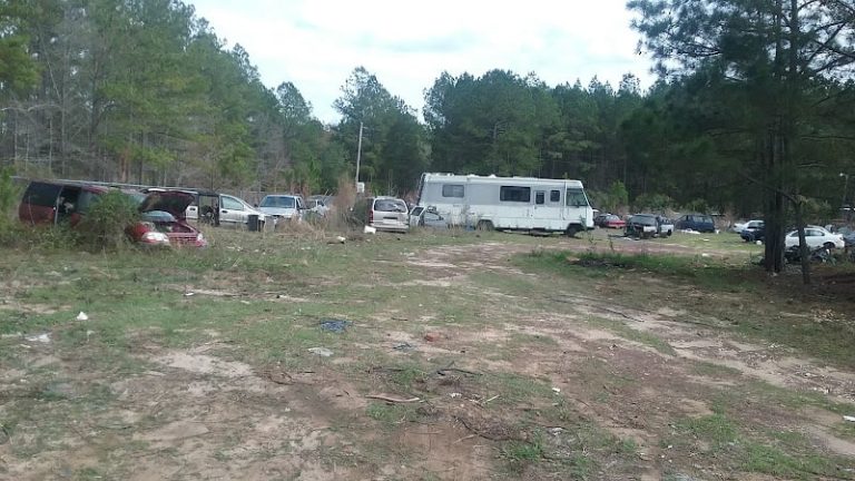 Iveyaposs Used Auto Parts at 107 Johnny Aultman Rd Sylvester GA 31791 4 768x432