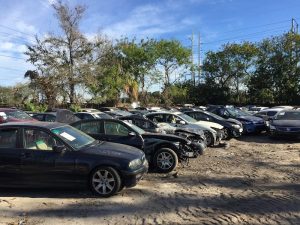 Japanese European Used Auto at 9809 Palm River Rd Tampa FL 33619 1 1 300x225