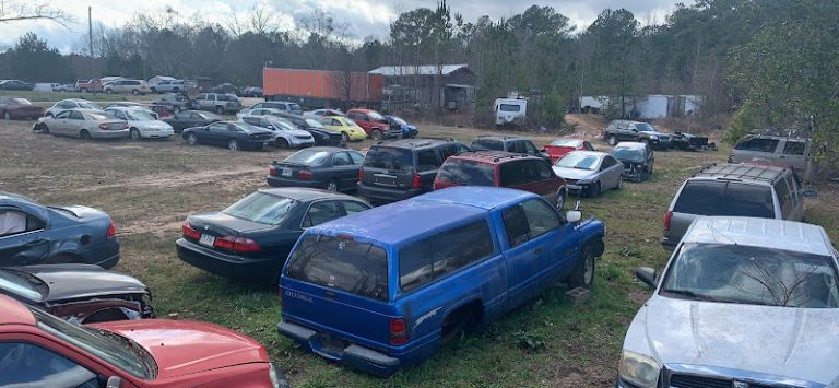Kingaposs Auto Parts Body Shop Inc at 102 Cowan Rd Covington GA 30016 2 1 768x355