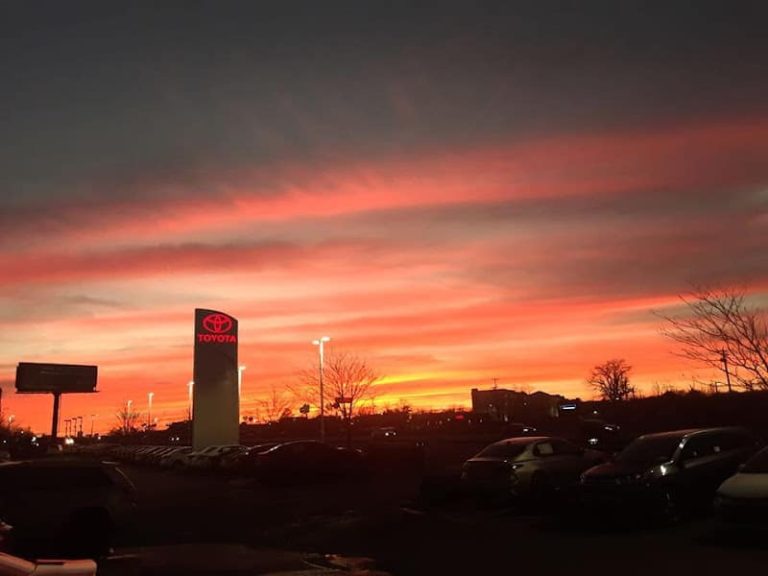 Mark McLarty Toyota Parts Store at 4336 Landers Rd North Little Rock AR 72117 1 1 768x576