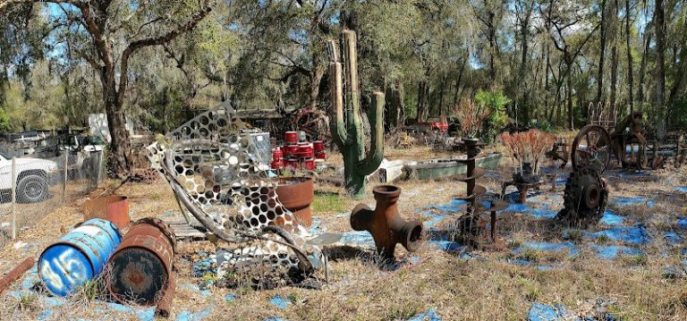 Mauroaposs New and Used at 5401 S Florida Ave Inverness FL 34450 1 2 768x359