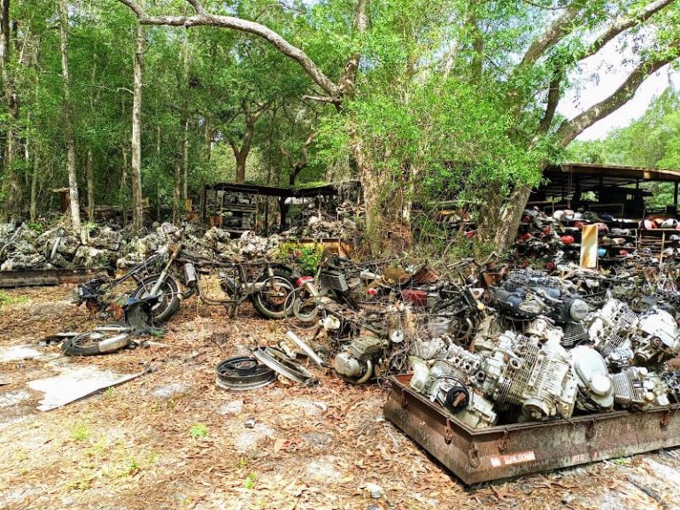 Mauroaposs New and Used at 5401 S Florida Ave Inverness FL 34450 1 768x576