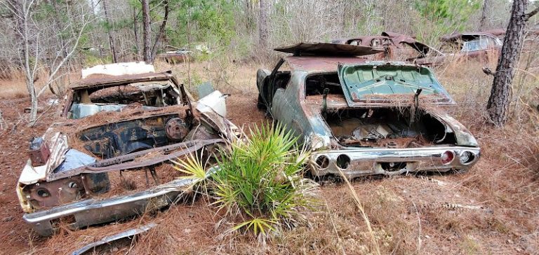 McDanielaposs House of Rust at 3411 Memorial Dr Waycross GA 31503 2 1 768x364