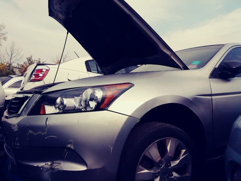 New Cats Auto Parts at 13538 S Western Ave Blue Island IL 60406 3 768x576