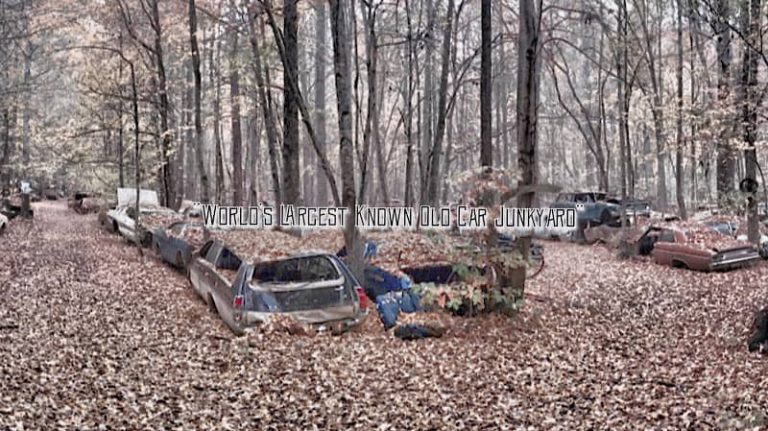 Old Car City USA at 3098 US 411 White GA 30184 1 768x431