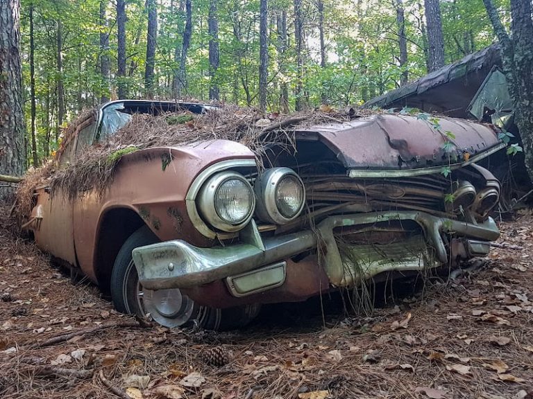 Old Car City USA at 3098 US 411 White GA 30184 2 1 768x576