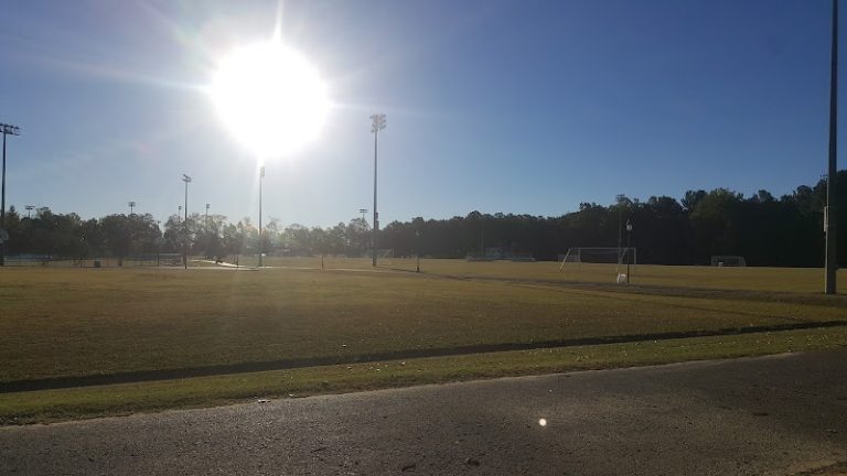 Peek Auto Parts at 1937 2nd Ave SW Cullman AL 35055 1 2 768x432