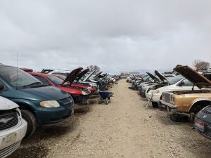 Pick A Part Jalopy Jungle at 3931 Garrity Blvd Nampa ID 83687 1 1 300x225