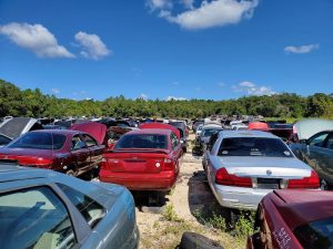 Pick n Pull at 3900 Woodville Hwy Tallahassee FL 32305 2 1 300x225