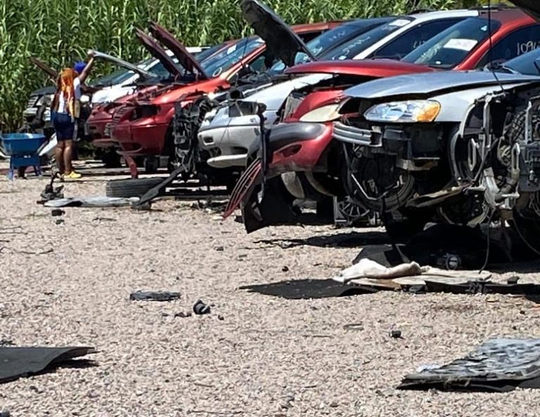 Pick n Pull at 8835 S Central Expy Dallas TX 75241 4 768x593