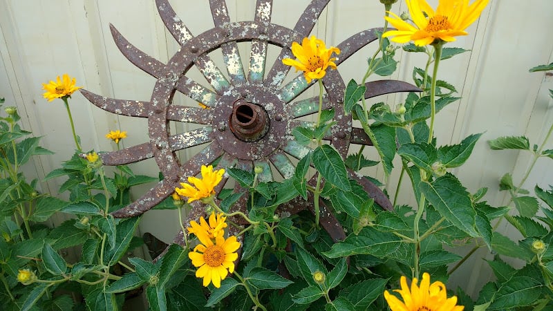 Featured image