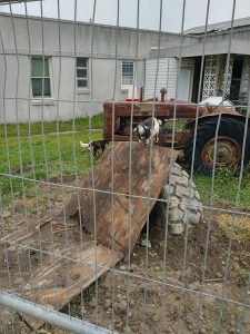 Surplus Recycling at 122 Mac St Virginia Beach VA 23462 1 2 225x300