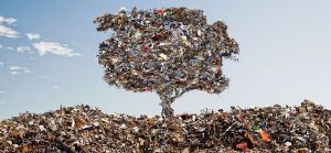 Trademark Metals Recycling at 3301 FL 46 Sanford FL 32771 1 300x139