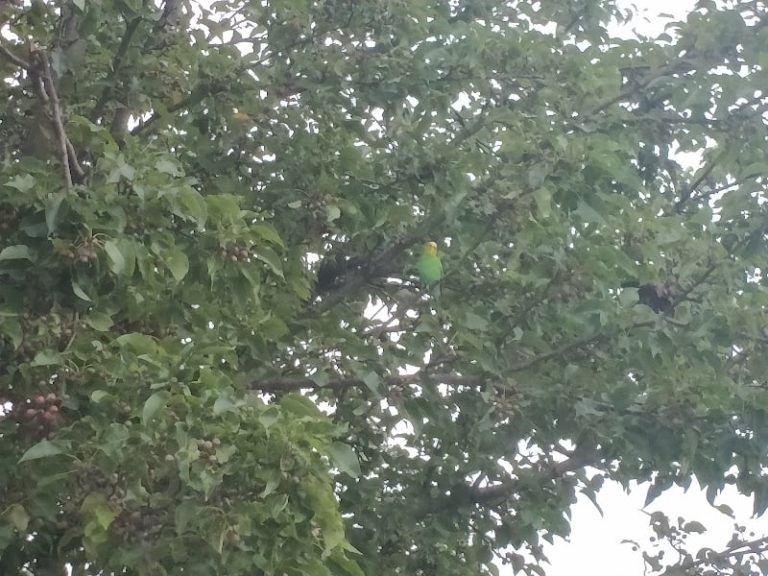 Tri County Core at 518 Dock St Millville NJ 08332 2 768x576