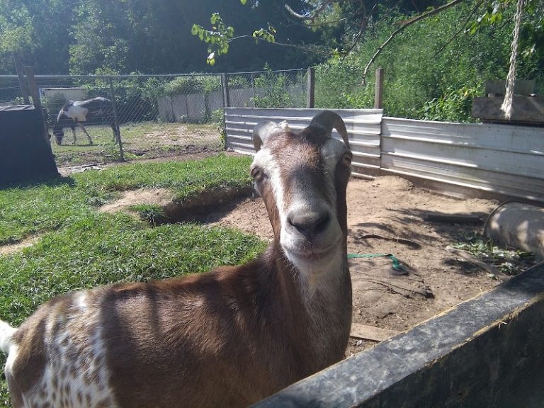 West Side Salvage at 3131 W 9th Dr West Terre Haute IN 47885 1 1 768x576