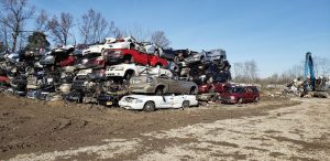 Wildcat Recycling at 4115 Camargo Rd Mt Sterling KY 40353 2 1 300x146