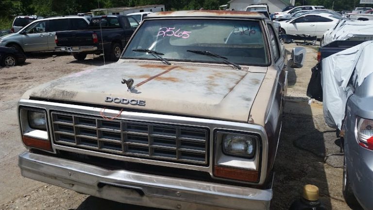 Williams Sons Auto Parts at 2421 W Georgia Rd Piedmont SC 29673 1 2 768x432