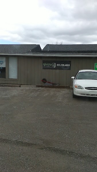 Young’s Auto Parts & Recycling at 6040 W Beecher Rd, Adrian, MI 49221 24 Featured image